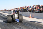 el paso motorplex