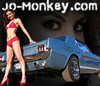 jo-monkey.com